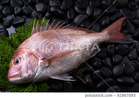 天然紅海鯛 天然紅海鯛 92867893