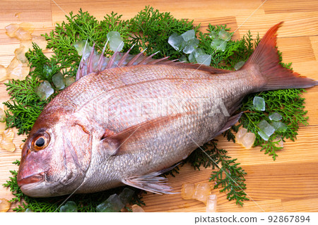 天然紅海鯛 92867894