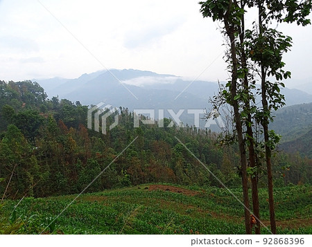 尼泊爾 Sindhupalchok 的日常風景 尼泊爾 Sindhupalchok 的日常風景 92868396
