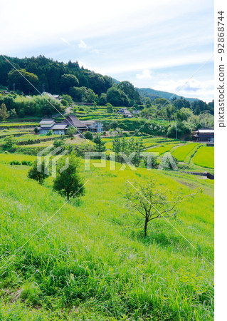 《兵庫縣》川部區稻川町柏原梯田與田園風光 92868744
