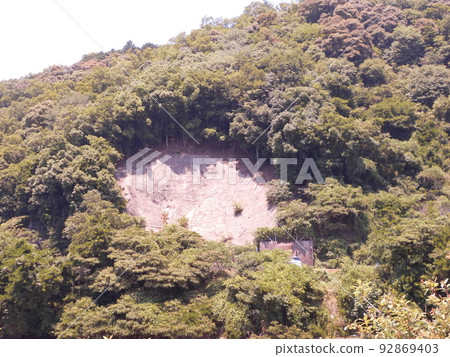 裸露的斜坡(滑坡/堤防景觀) 裸露的斜坡(滑坡/堤防景觀) 92869403