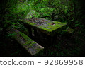 Mossy table and bench 92869958