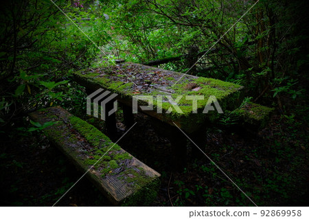 Mossy table and bench Mossy table and bench 92869958