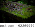 Mossy table 92869959