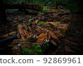 Decayed wooden bench 92869961