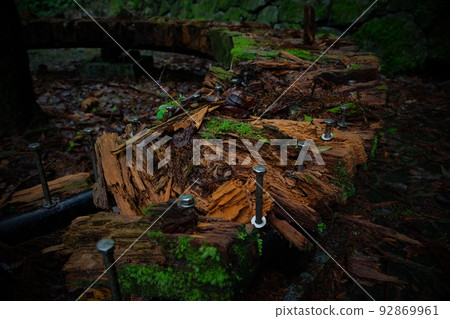 Decayed wooden bench Decayed wooden bench 92869961