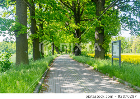 Pedestrian road to tripoint of Germany, Czech Republic, and Poland. Border of three countries is on Lusatian Neisse. 92870287