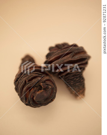 乾花 platyster/模糊 92871231