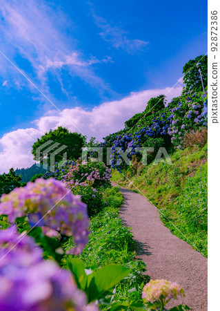 四國中央新宮繡球村 92872386