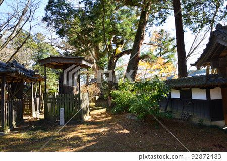 新念寺的紅葉 2021-11-28 #11 新念寺的紅葉 2021-11-28 #11 92872483