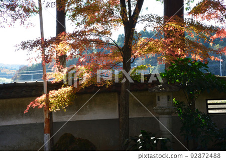 新念寺的紅葉 2021-11-28 #14 新念寺的紅葉 2021-11-28 #14 92872488