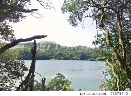 Ippeki 湖和沿湖邊的初秋風景 Ippeki 湖和沿湖邊的初秋風景 92873440