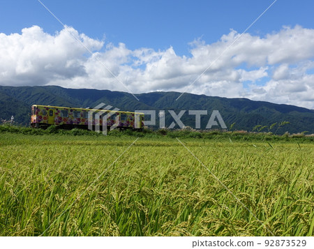 Flower Nagai Line Autumn Inaho Flower Nagai Line Autumn Inaho 92873529
