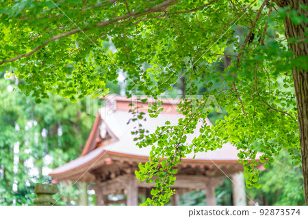 上郡上町 鹿島神社 兼月堂新綠 上郡上町 鹿島神社 兼月堂新綠 92873574