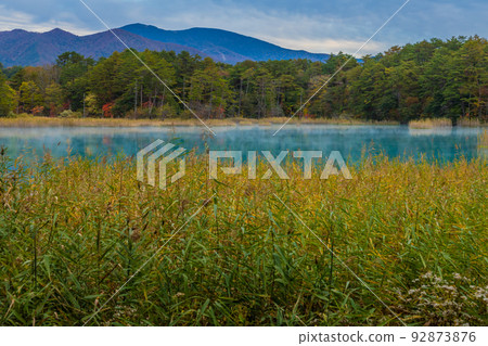 福島的紅葉五色沼 92873876