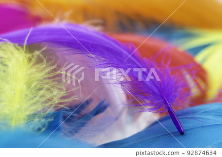 Multicolored goose feathers 92874634