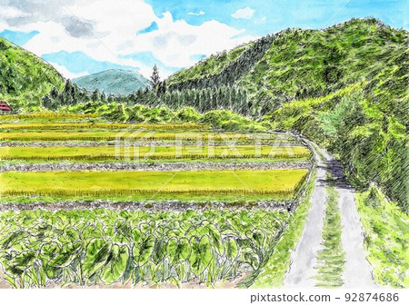 在山上的水稻梯田 92874686