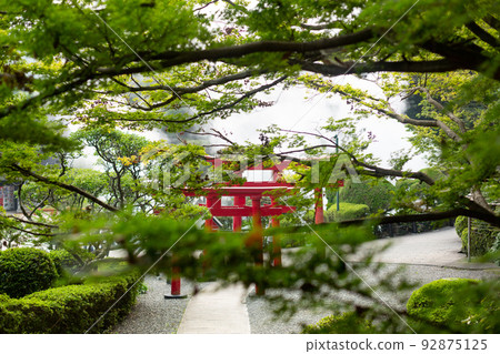 [日本] 大分縣別府神社枝葉後隱藏的紅色鳥居 92875125