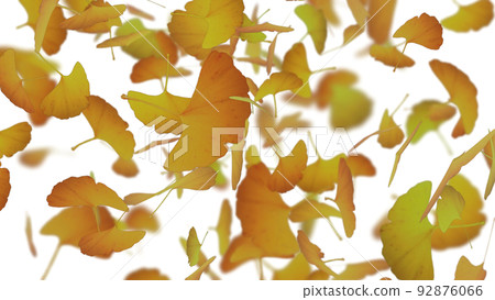 Background illustration with falling ginkgo leaves Background illustration with falling ginkgo leaves 92876066