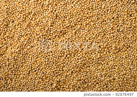 Dry uncoocked Soybeans background flat lay view Dry uncoocked Soybeans background flat lay view 92876497