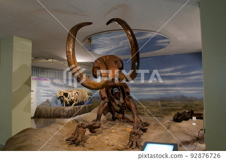 長毛猛獁象化石 長毛猛獁象化石 92876726