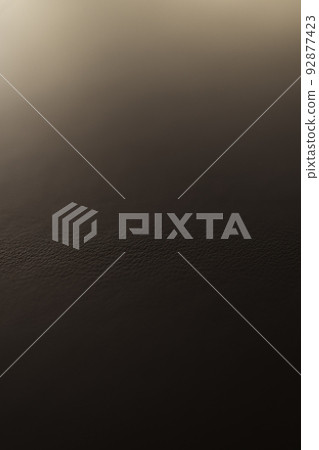 closeup shot of fine leather with back light 92877423