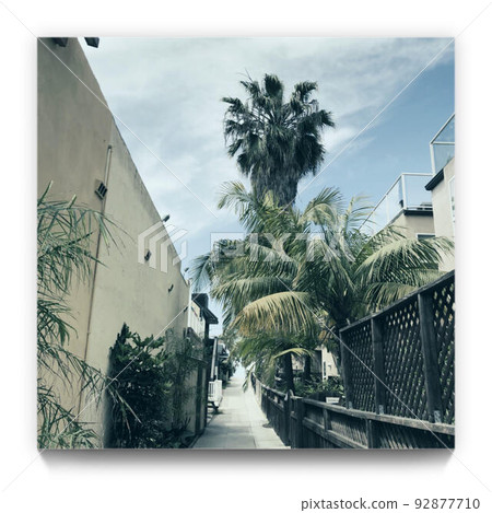 California California Sea Surfer Surfing 衝浪 女孩 海灘 夏季 California California Sea Surfer Surfing 衝浪 女孩 海灘 夏季 92877710