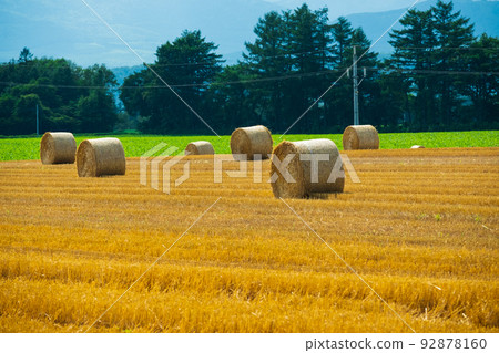 Tokachi summer field and wheat stalk roll 92878160