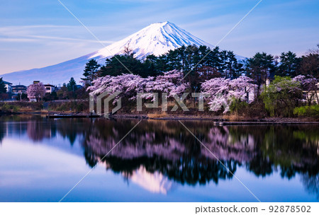Upside-down Fuji from Kawaguchiko Oike Park 2022 92878502