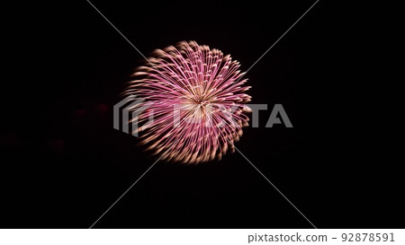 Omaezaki fireworks220806pm8:16 Omaezaki fireworks220806pm8:16 92878591