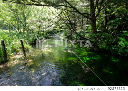 長野縣松本市上高地 92878813