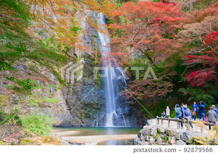 [大阪府]11月紅葉季節的箕面公園 92879566