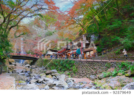 [大阪府]11月紅葉季節的箕面公園 92879649