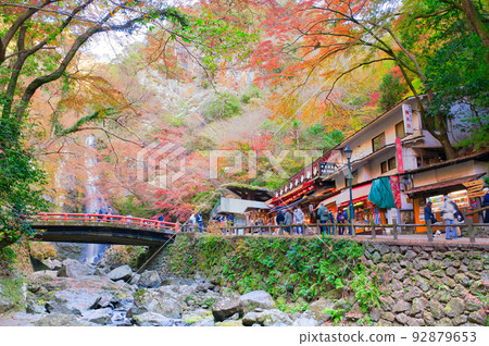 [大阪府]11月紅葉季節的箕面公園 92879653