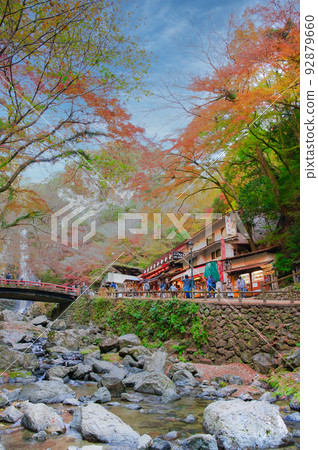 [Osaka Prefecture] Minoh Park during the autumn leaves season in November 92879660