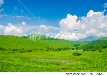 夏季登陸濕地池核桃 92879683