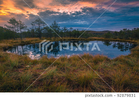 Amazing sunrise landscape and small lake in the bog, Romania Amazing sunrise landscape and small lake in the bog, Romania 92879831