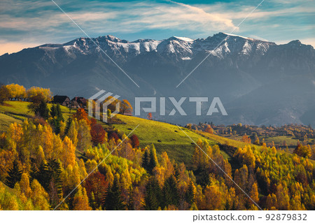 Autumn scenery with colorful deciduous trees on the hills, Romania Autumn scenery with colorful deciduous trees on the hills, Romania 92879832
