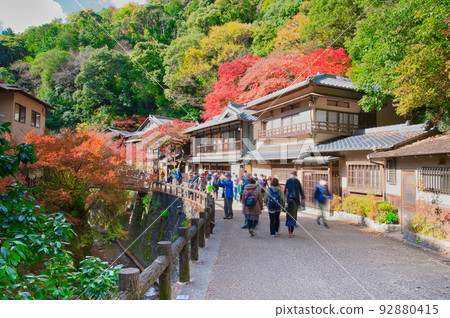 [Osaka Prefecture] Minoh Park during the autumn leaves season in November 92880415