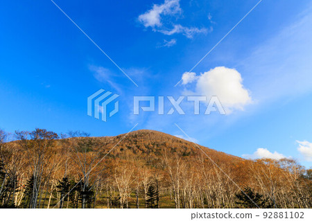 Shikaribetsu湖附近的紅葉原始森林“秋天的北海道” 92881102