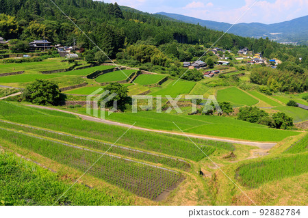 Rice growing in terraced rice fields in early summer Rice growing in terraced rice fields in early summer 92882784