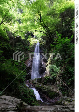Hossawa Falls in summer, Hibaramura, Tokyo Hossawa Falls in summer, Hibaramura, Tokyo 92882892