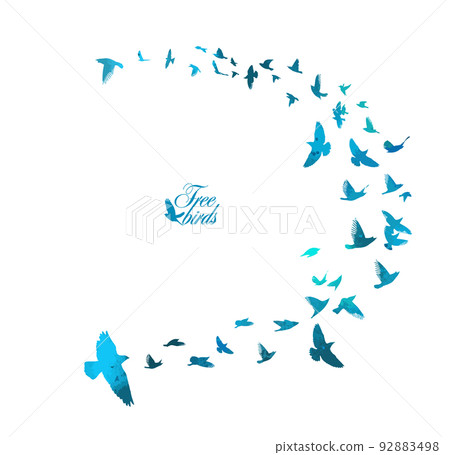 Bird watercolor. A flock of colorful birds. Mixed media. Vector illustration 92883498