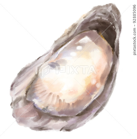 Fresh raw oyster watercolor painting seafood shellfish art illustration 92885096