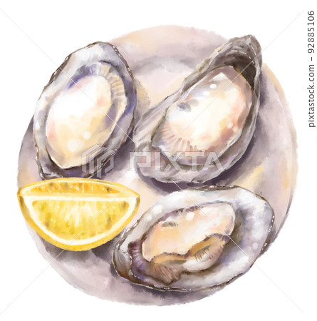 Fresh raw oyster watercolor painting seafood shellfish art illustration Fresh raw oyster watercolor painting seafood shellfish art illustration 92885106