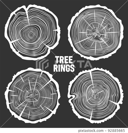 White round tree trunk cuts with cracks, sawn pine or oak slices, lumber. Saw cut timber, wood. Wooden texture with tree rings. Hand drawn sketch. Vector illustration 92885665