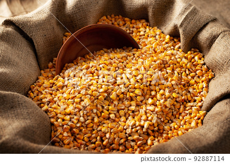 Burlap sack with corn kernels and clay bowl Burlap sack with corn kernels and clay bowl 92887114