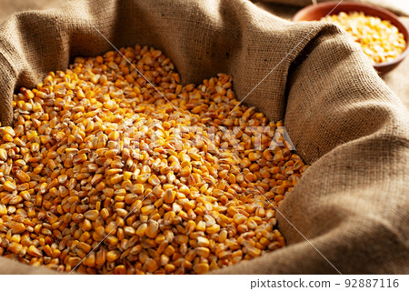 Burlap sack filled with corn kernels and clay bowl aside Burlap sack filled with corn kernels and clay bowl aside 92887116