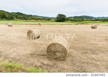 The landscape of hay rolls in the fields of Manzhou, Pingtung, Taiwan 92887405