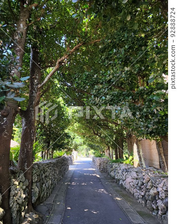 Ishigaki Island Townscape where you can feel the era of the Ryukyu Kingdom 92888724